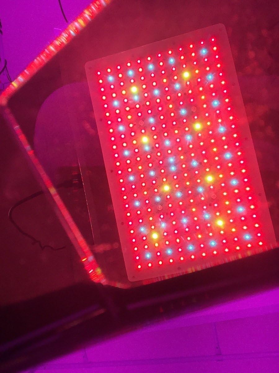 LED Grow Light