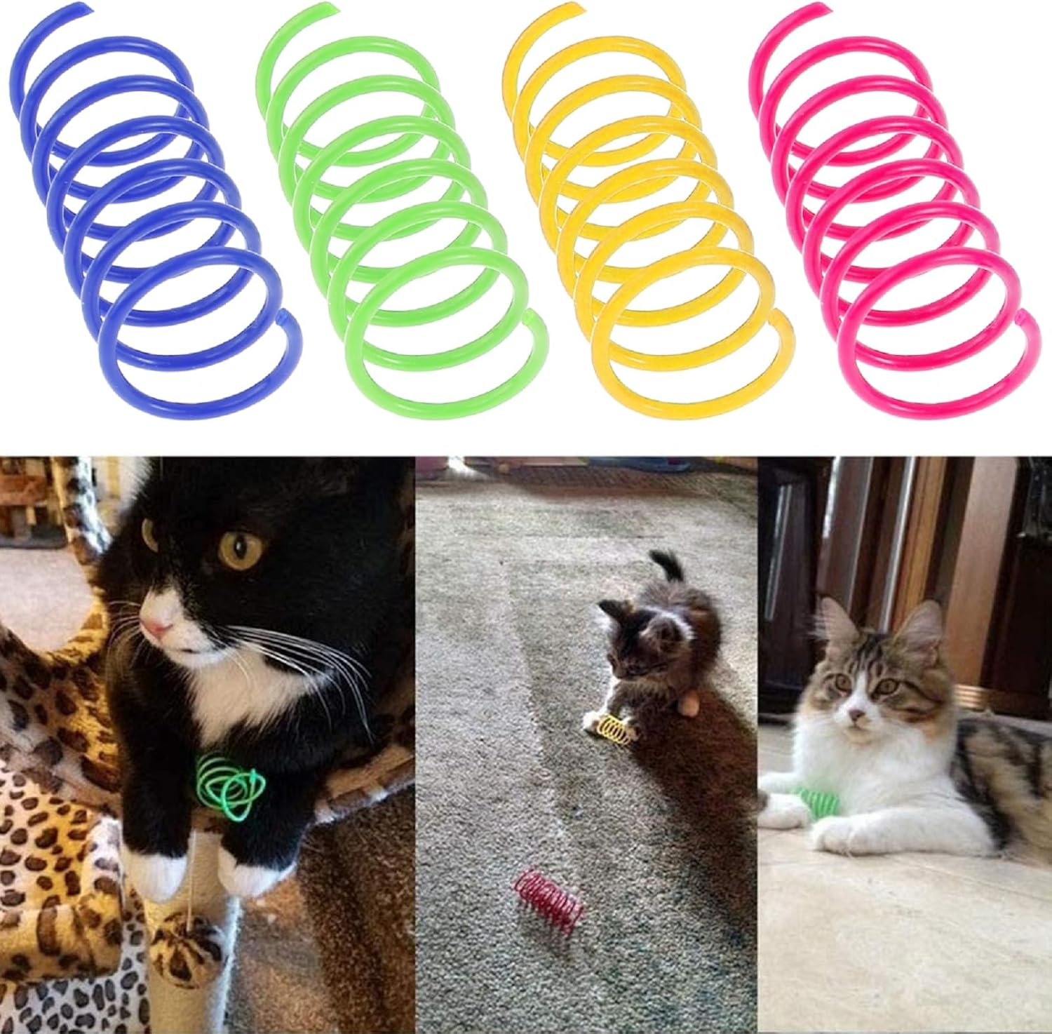 Cat Spiral Spring Toy 16 PCS, Colorful Cats & Kitten Toys for Swat, Bite, Hunt Indoor, Creative Entertainment Springy Toys (16PCS Multicolored) image 7 of 7 B0F445RTDG