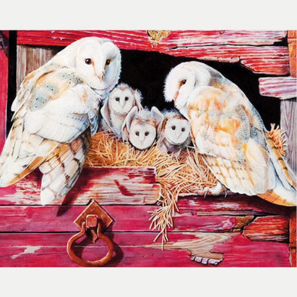 Broderie diamant hibou blanc 50x60 cm loisir créatif toile carrée