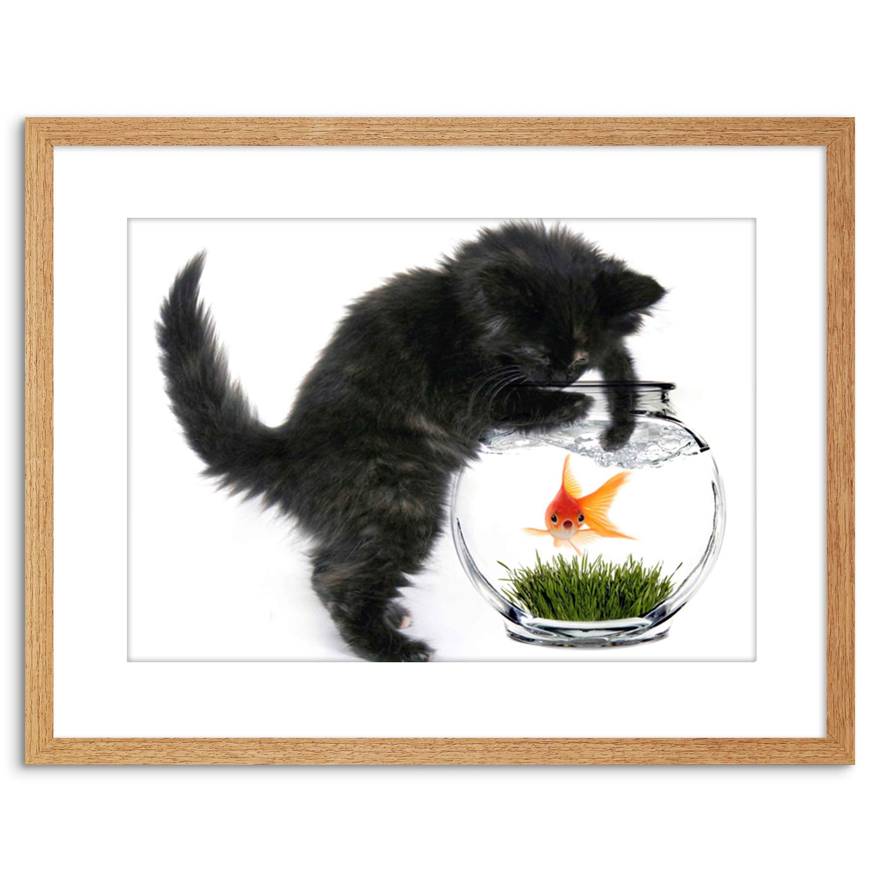 Wee Blue Coo PHOTO BLACK KITTEN CAT PLAYING GOLDFISH BOWL HOME FRAMED PRINT F97X2820