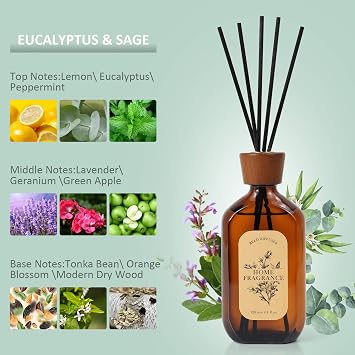 Reed Diffuser, Eucalyptus Sage Scented with 6 Sticks, 120ml