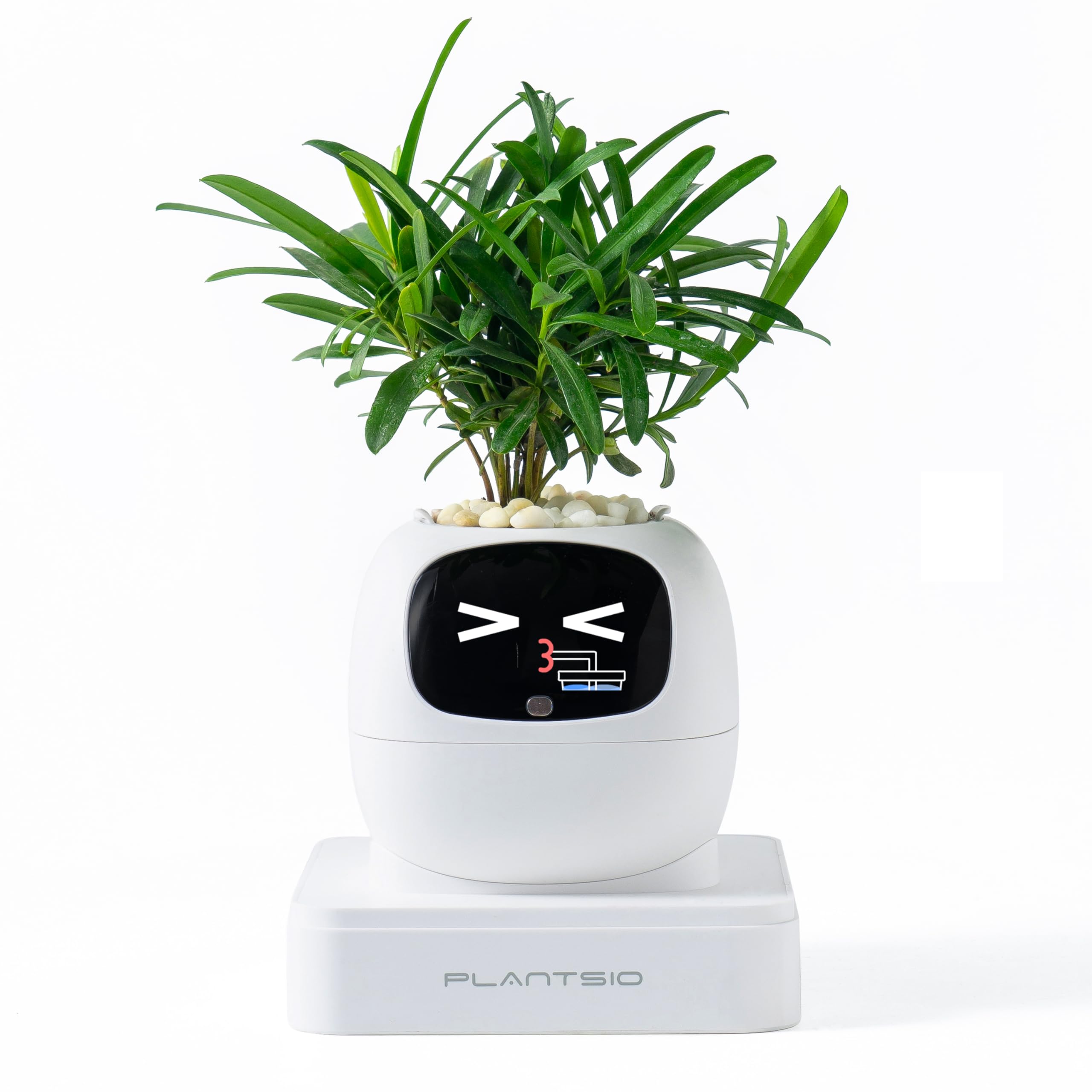 Smart Pet Planter