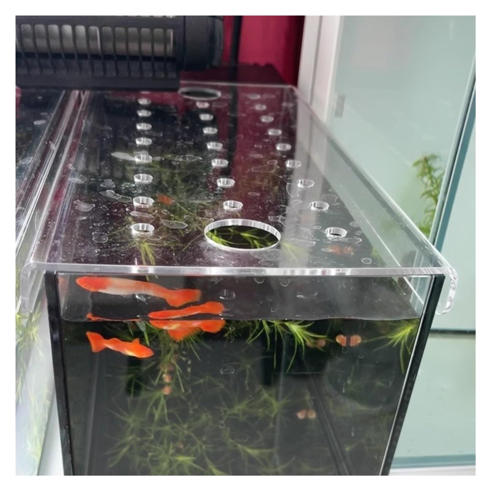 Acrylic Aquarium Cover with Fresh Air Holes, Jumping Proof Hood for Fish Tank Protection