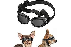Dog Sunglasses: Eye Protection for Small Dog Breeds