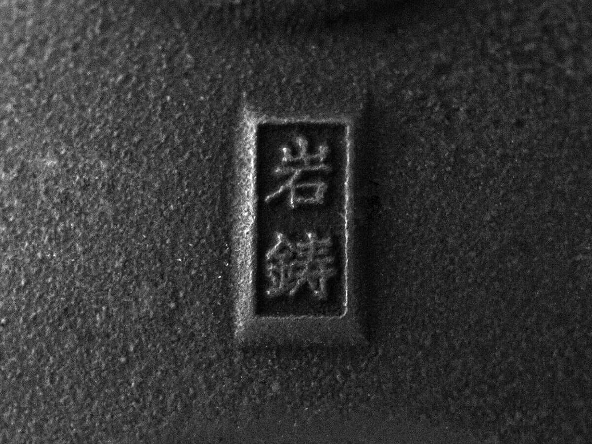 Iwachu Ginkgo Théière Japonaise en Fonte Noir 0,65 l Intérieur émaillé, Tous Types de thé.