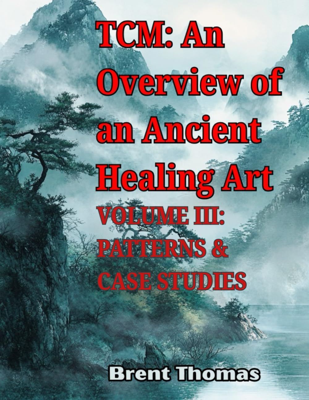 TCM: An Overview of an Ancient Healing Art: VOLUME III: PATTERNS & CASE STUDIES