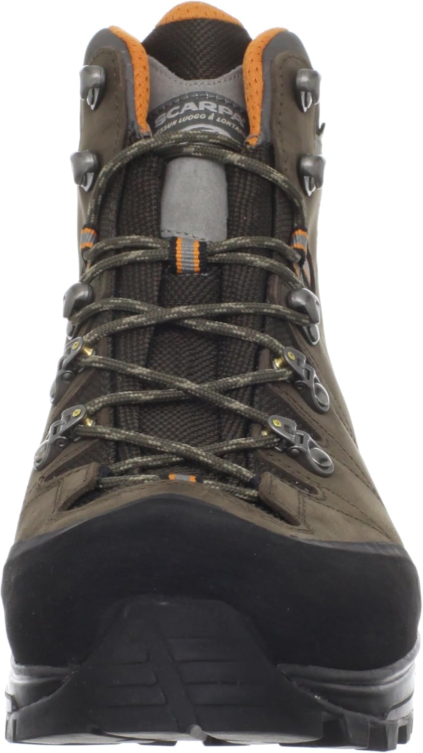 zappos snakeskin booties