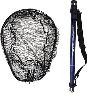 Amazon Co Jp タモ 6m