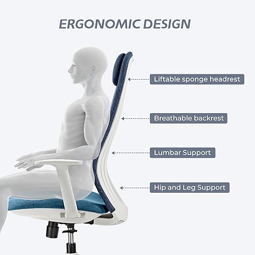Miniatura 4 de EUREKA ERGONOMIC Skylar-Lite - Silla de oficina de malla azul, silla de escritorio ergonómica con reposacabezas ajustable, sillas de escritorio de
