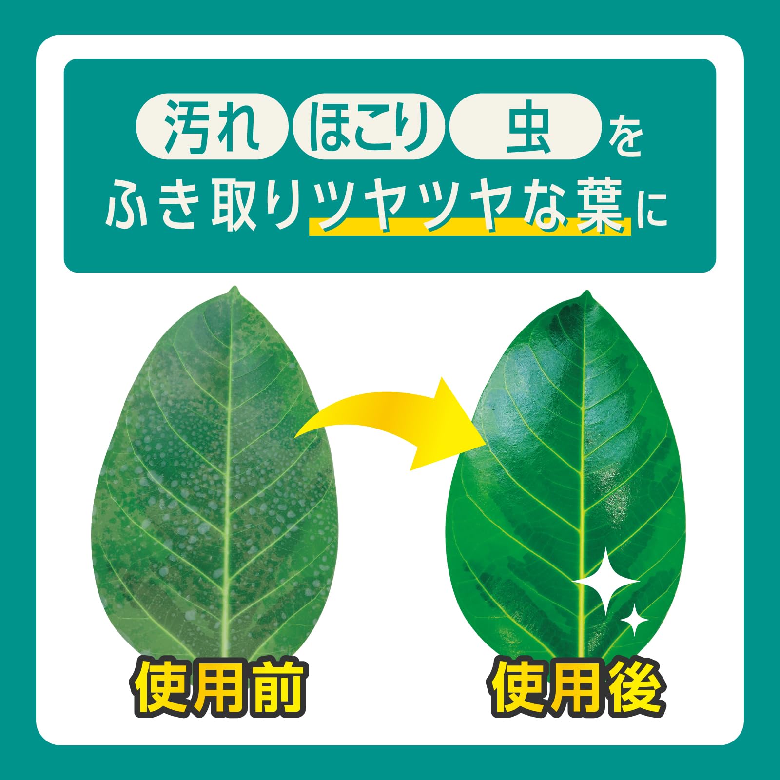 Amazon.co.jp: 住友化学園芸 葉面洗浄剤 MYPLANTS葉をきれいにする