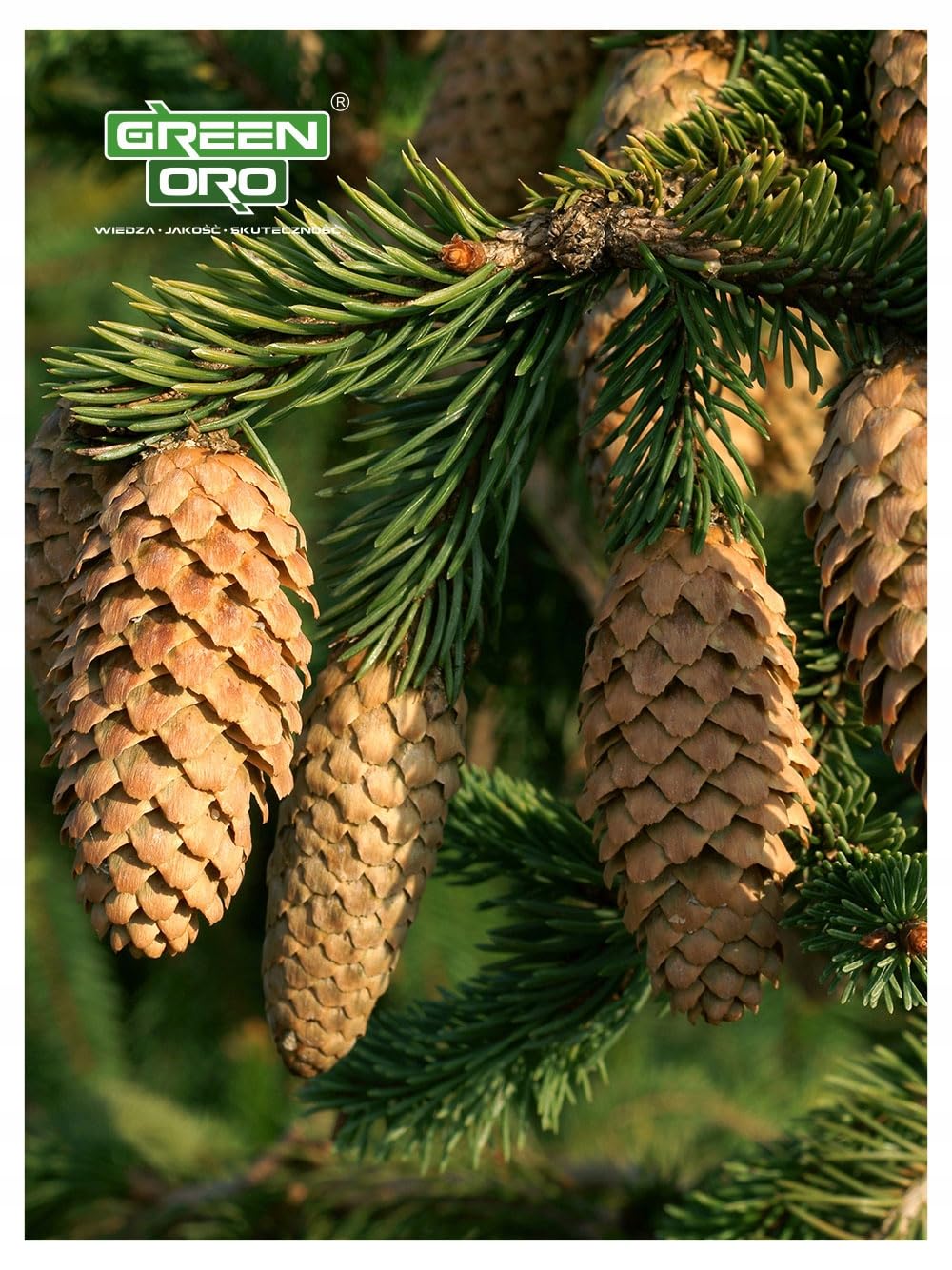 HYDRO AKI 24kg - Fertilizzante autunnale per thuja e conifere