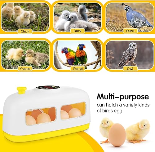 Miniatura 3 de Sailnovo Incubadora de huevos, incubadora de 8 huevos para incubar huevos con iluminación LED y control inteligente de temperatura para pollos,