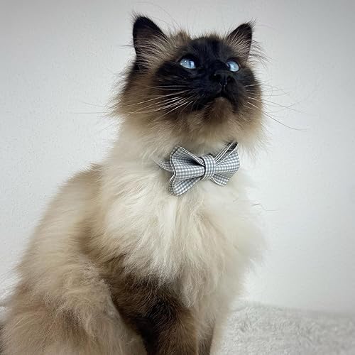 Miniatura 10 de PETDURO Personalized Handmade Plaid Cat Collars with Bell & Name Engraved Metal Buckle Customized for Cute Girl and Boy Cats - Matching Bow Tie