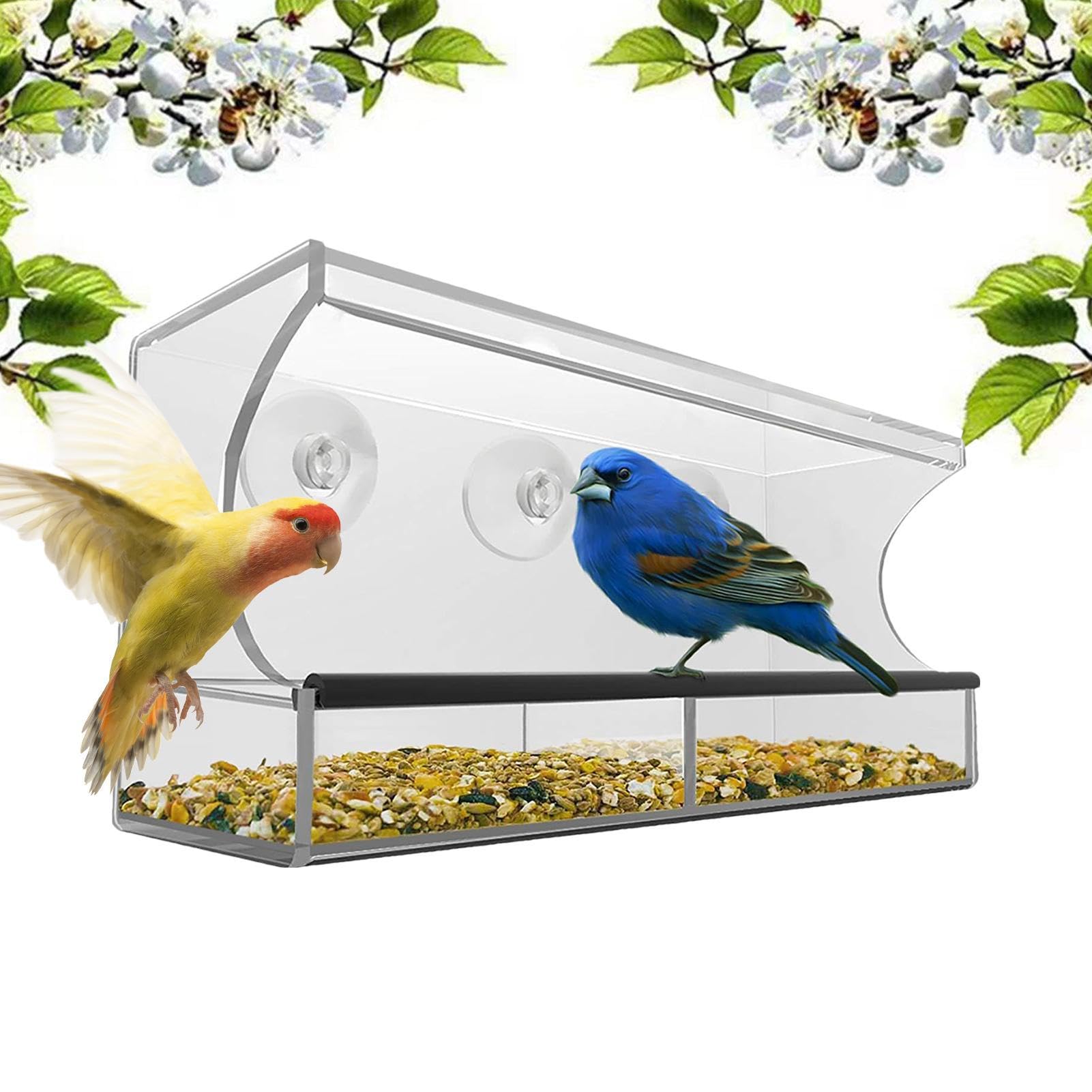 Mangeoire à oiseaux pour fenêtre cadeau idéal pour petits et adultes