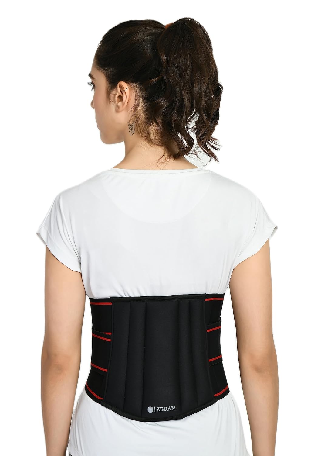 Buy ZEDAN Lower Back Brace Support/Lumbar Support Waist belt for Back