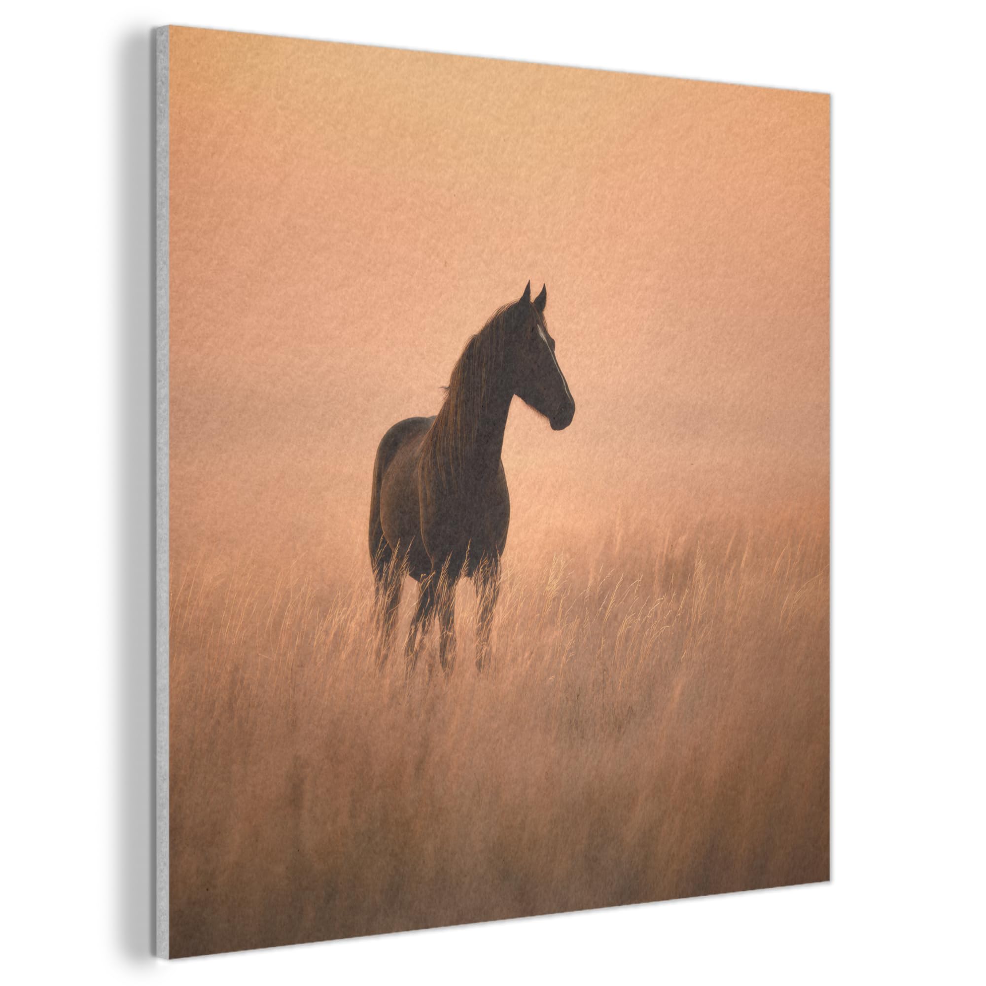 MuchoWow© Felt Panel 50x50 cm Room Style Piece Wallfillers Visual Display Decoration Wall Art Horse - Lawn - Sunset