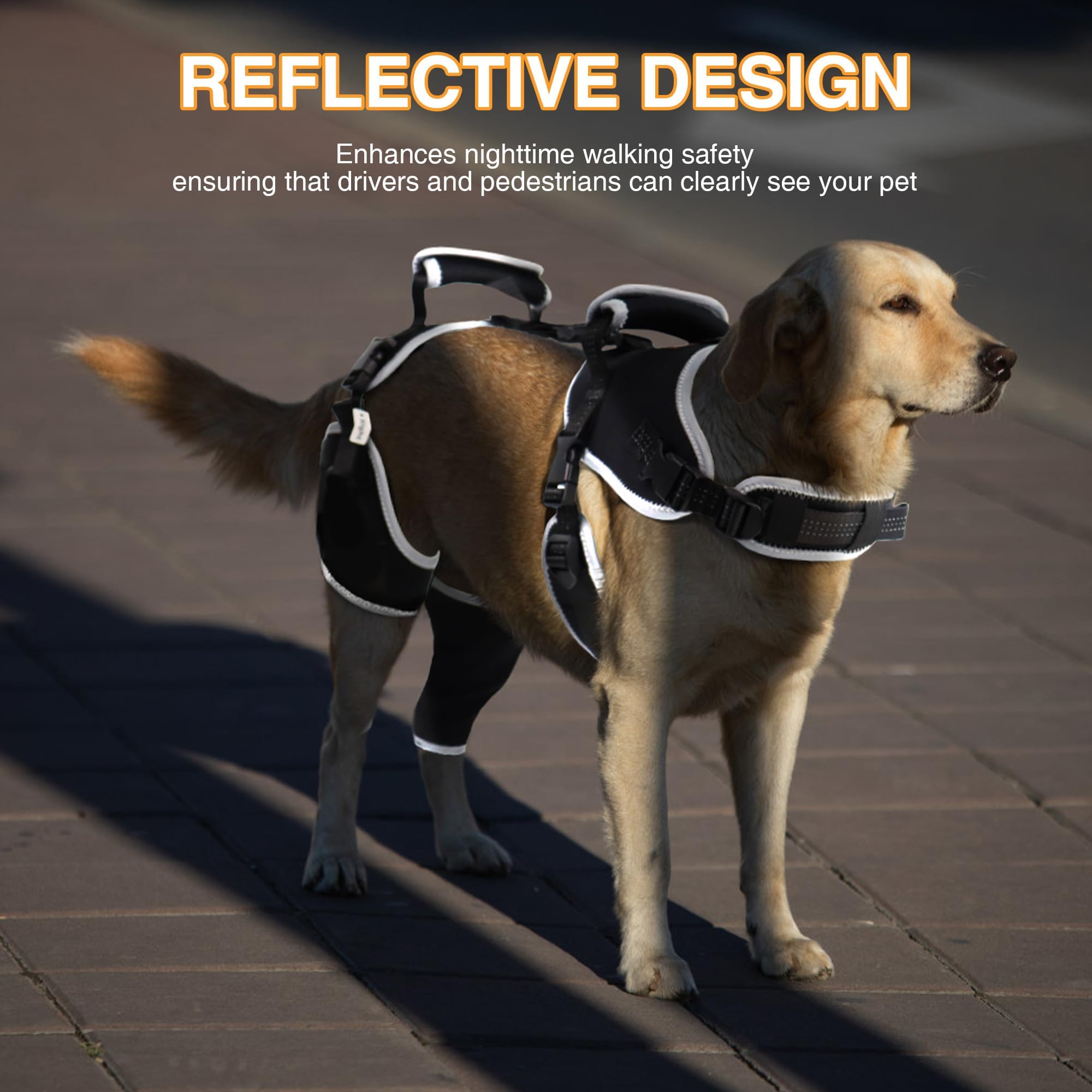 LISPOO Dog Knee Brace for Torn ACL/CCL Hind Leg,Adjustable Support With Sufficient Wrapping and Support & Luxating Patella,Non-Slip Joint Brace,Pain Relief&Better Recovery-Left leg-Upgraded/M - Image 4