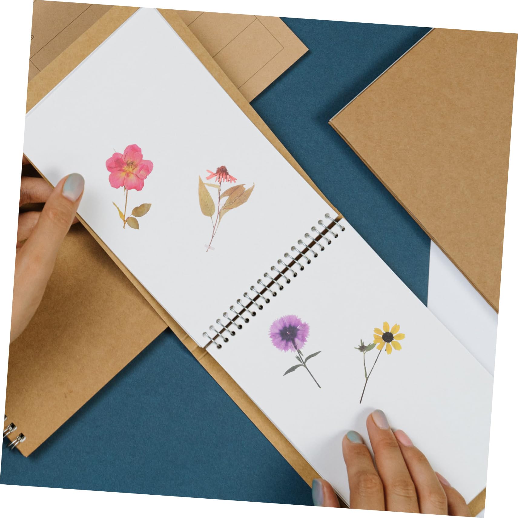 Angoily 3 Series Pegatinas Decorativas Para Scrapbooking De Calcomanías De Flores Secas Adornos Para Álbumes Diarios Y Manualidades Estilo Botánico Y Estético Accesorios Para 6 Paquetes*3