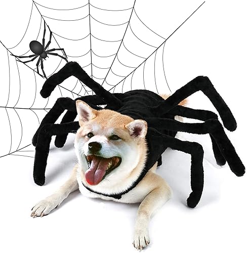 Disfraces de Halloween para perros, disfraz de araña de Halloween para perros y gatos, disfraz de Halloween para mascotas, accesorios de disfraces