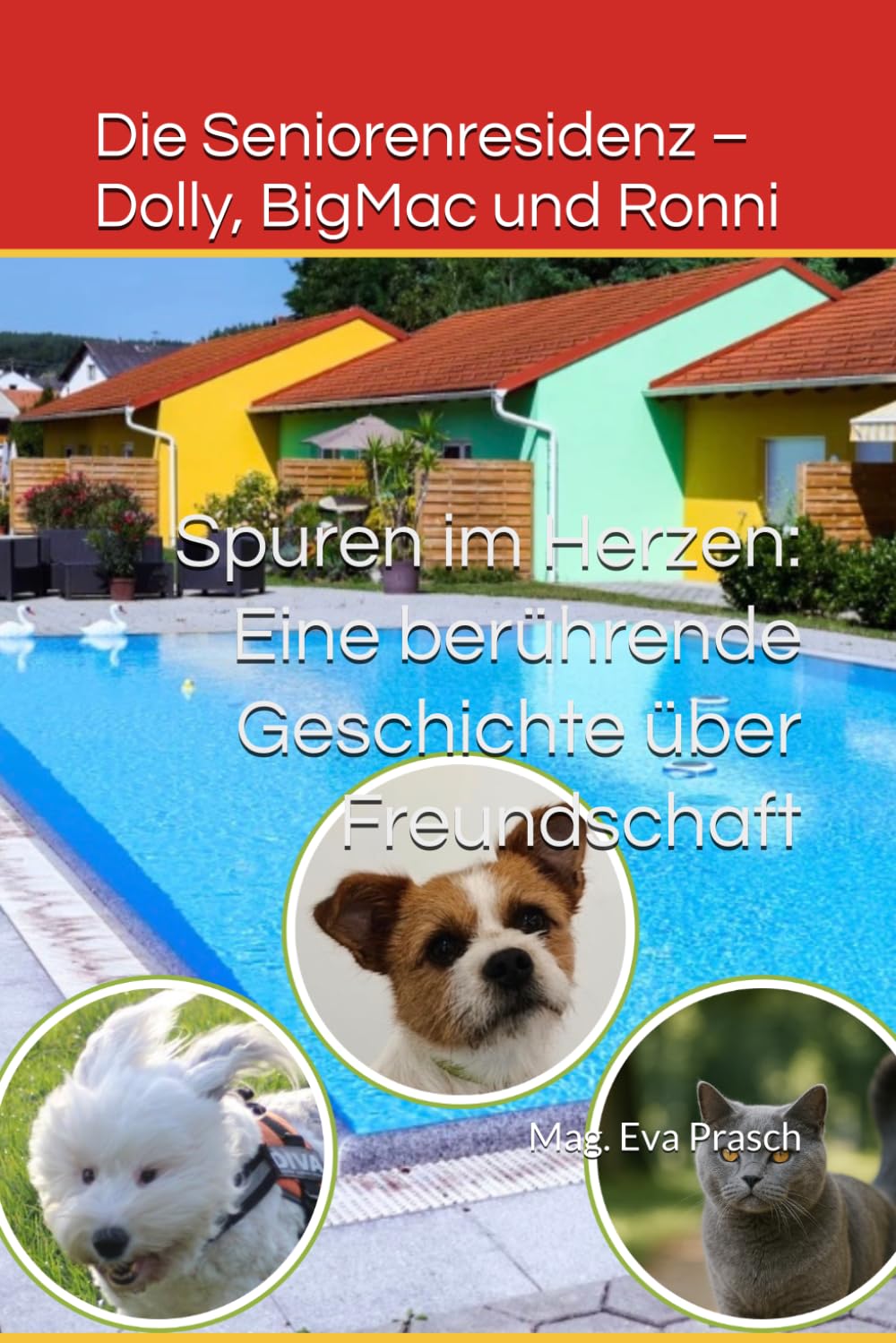 Die Seniorenresidenz – Dolly, BigMac und Ronni: Spuren im Herzen: Eine berührende Geschichte über Freundschaft, Abschied und Neubeginn