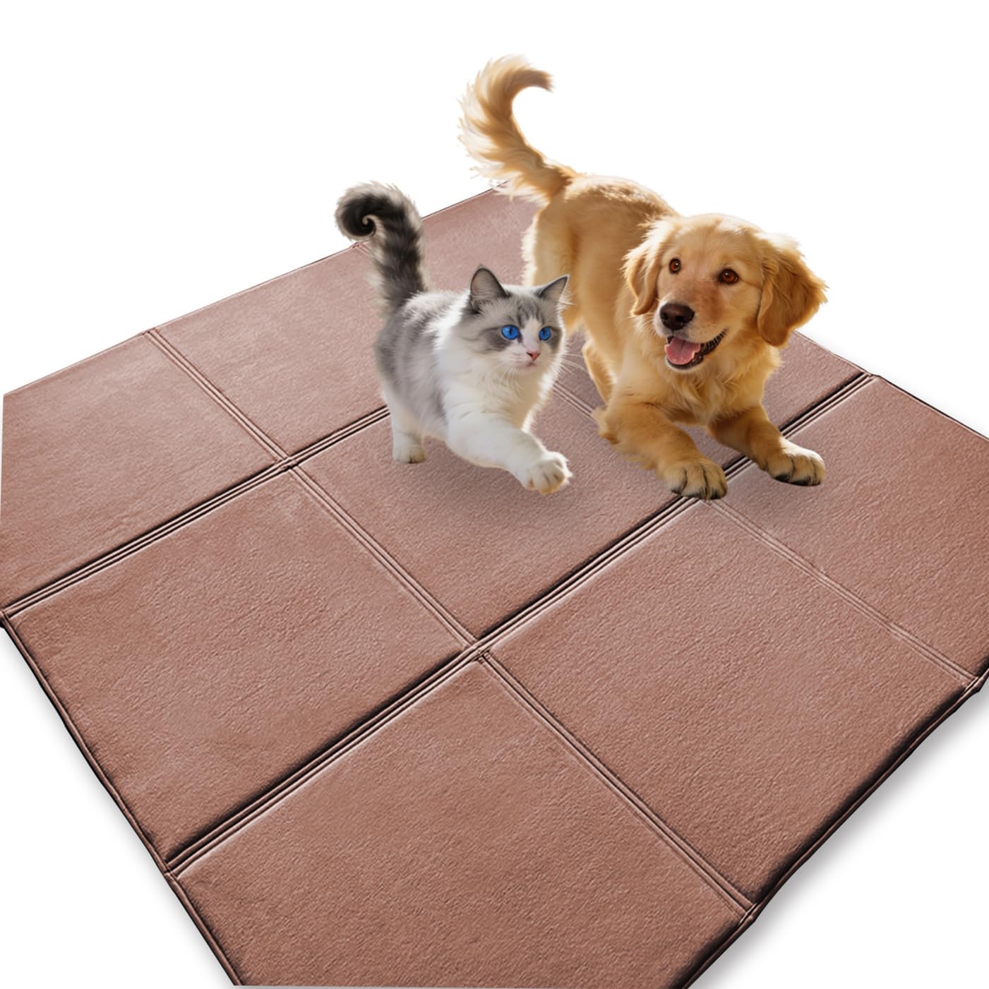 Tapis de salon confortable en velours de corail pour toute la famille
