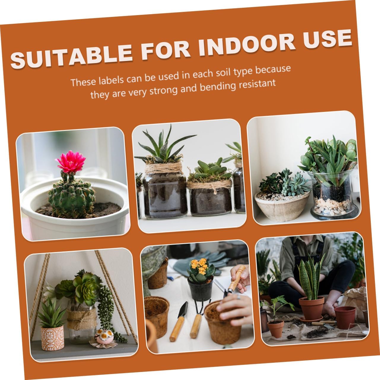 600Pcs Plastic Plant Labels with Smooth Edges for Garden Herb Vegetable Seedling Markers Multi-Color Garden Stakes for Fruit Trees Flowers and Greenhouse Use