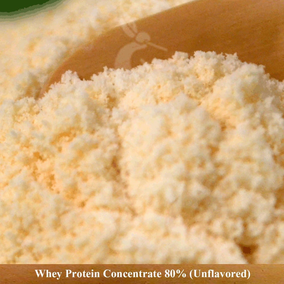 Whey Protein Concentrate 80% Powder, Unflavored (5 Kilograms (11 Lbs))