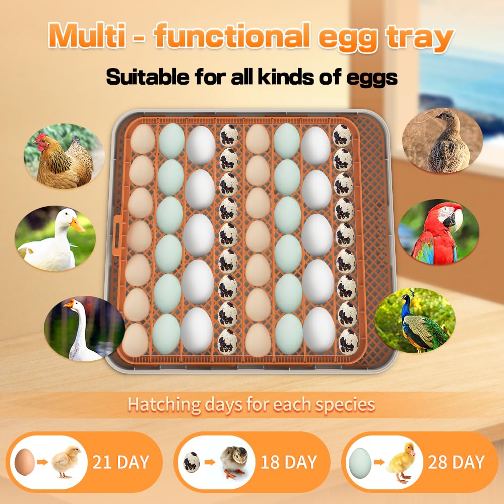56 Incubadora de huevos – Trituradora automática de aves de corral para huevos de pollo/pato/ganso con giro automático, control de temperatura y humedad, candelabro incorporado, máquina de