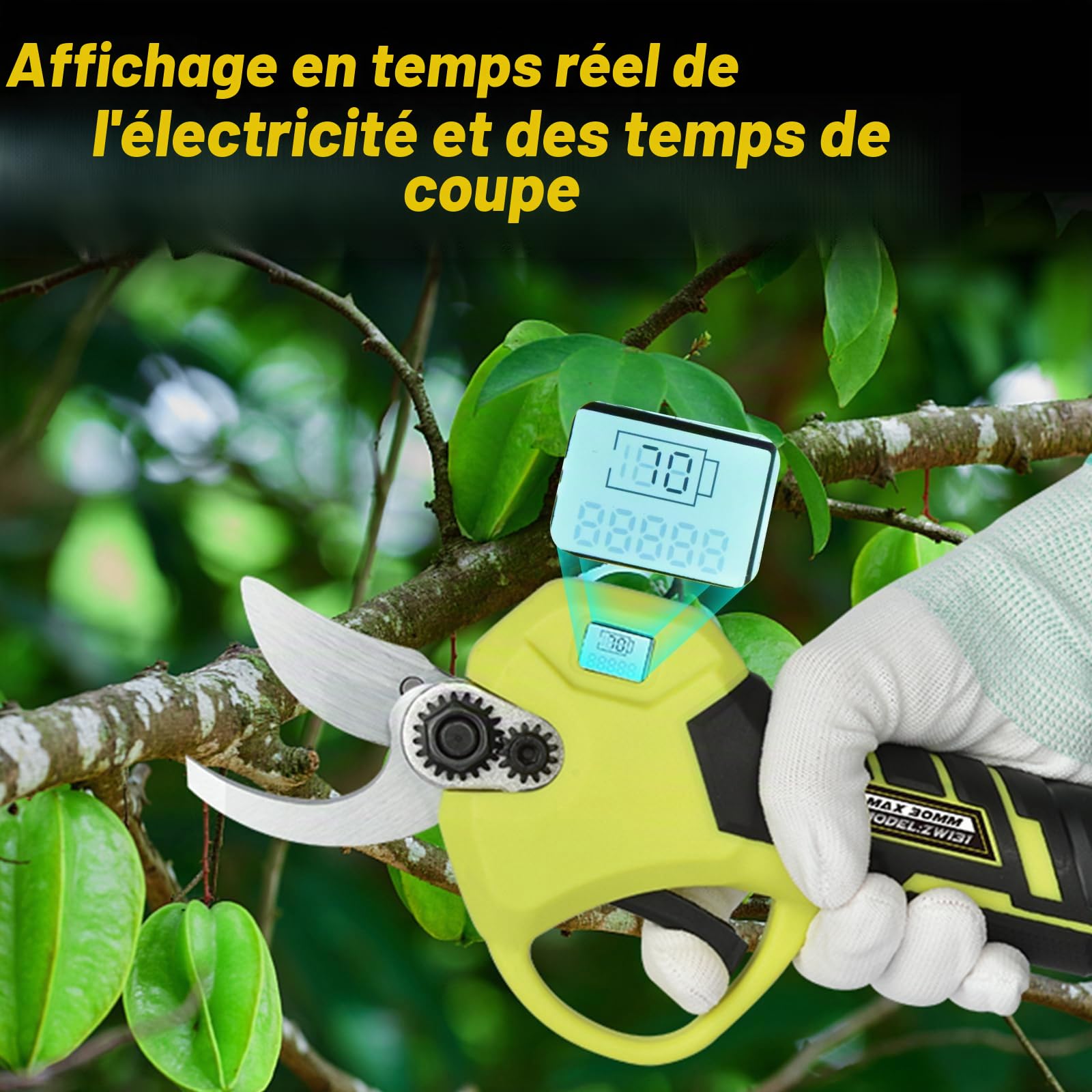 Secateur Electrique sans fil 30 mm: Sécateur électrique professionnel Brushless avec 2x2.0Ah Batteries, lames en SK5, pour la taille, le jardinage, les arbres fruitiers et le vignoble Ciseau