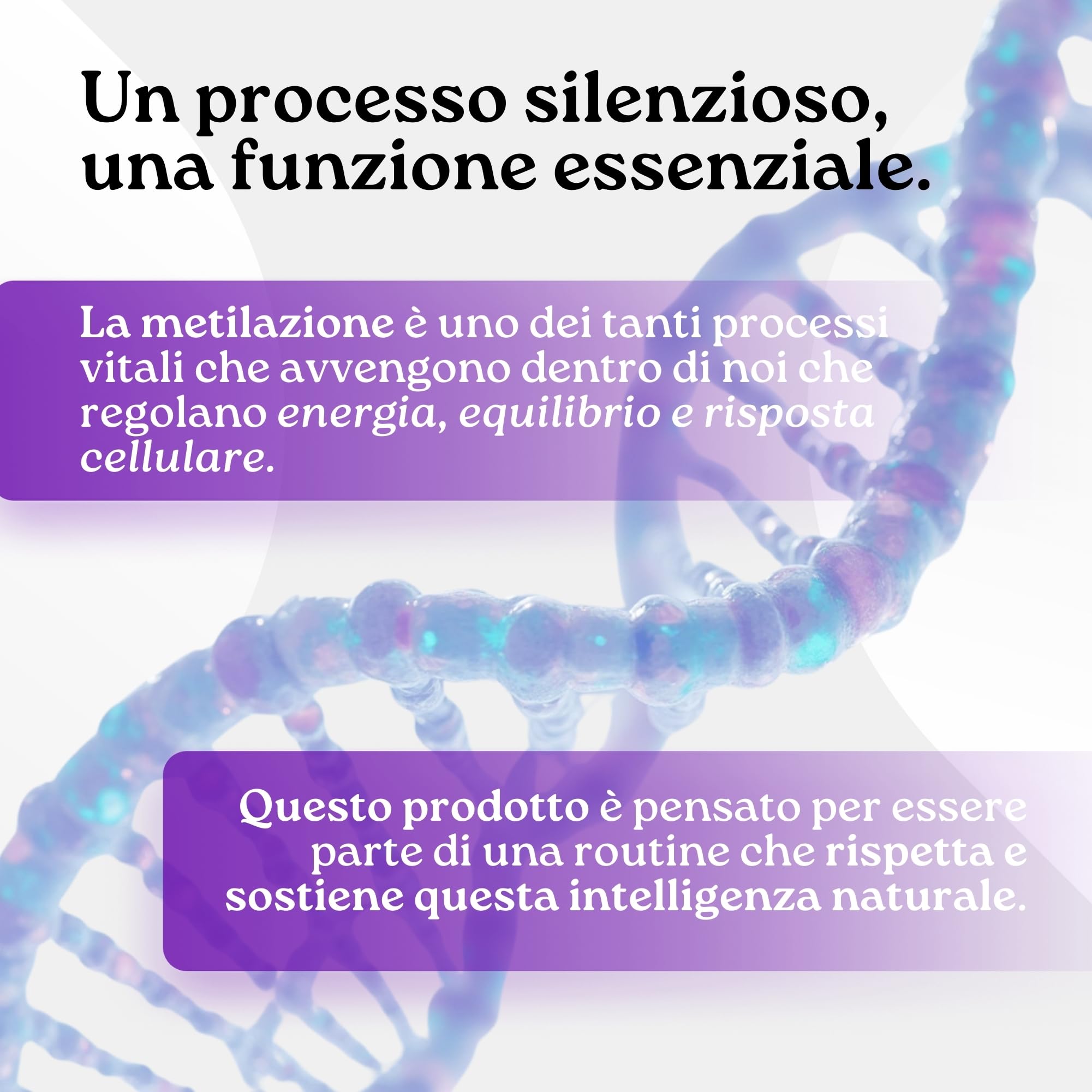 NAD+ Puro 1000mg con Trans Resveratrolo e Trimetilglicina 60 Compresse - Integratore Nicotinamide per Supporto Cellulare ed Energetico