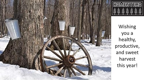 Miniatura 9 de Hidrómetro de jarabe de arce, mide el contenido de azúcar y humedad (densidad) de la savia hervida - Escala Baume y Brix - Calibrado para crear