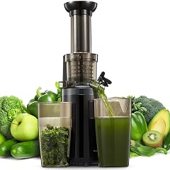 Masticating Juicer Machines Reemix Cold Press juicer Machine Compact Small Size Juice Extractor Nutrient and Vitamin Dense BPA-Free