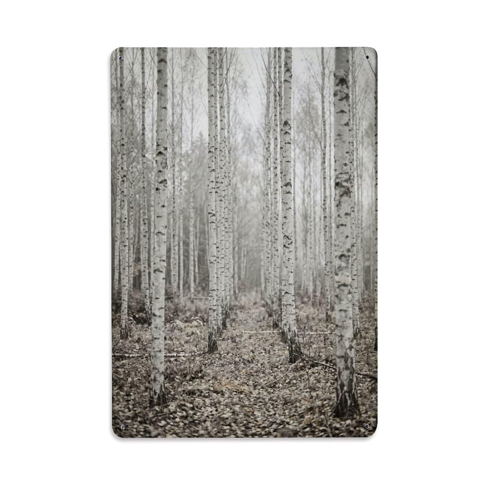 Baltic Birch Hallway Nature Vintage Metal Tin Sign Plaque Wall Decor for Cafe, Club, Garden Metal Poster 8x12Inch