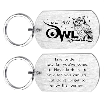 HYHYDHP Be An Owl Keychain for Men Women - Inspirational Owl Gifts for Knowledge Seekers, Double Sided Stainless Steel Key Chain, Perfect for Student Graduate Friend Graduation Birthday Gift