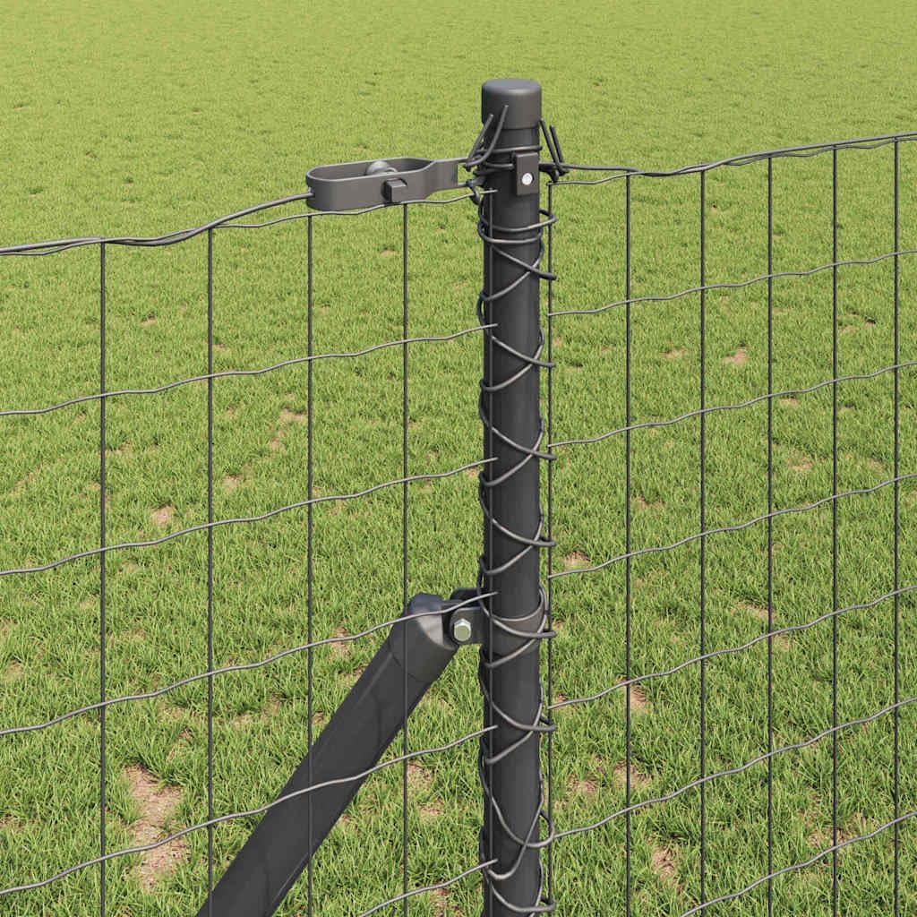 Set di recinzioni europee con pali, 1,2 x 25 m, grigio
