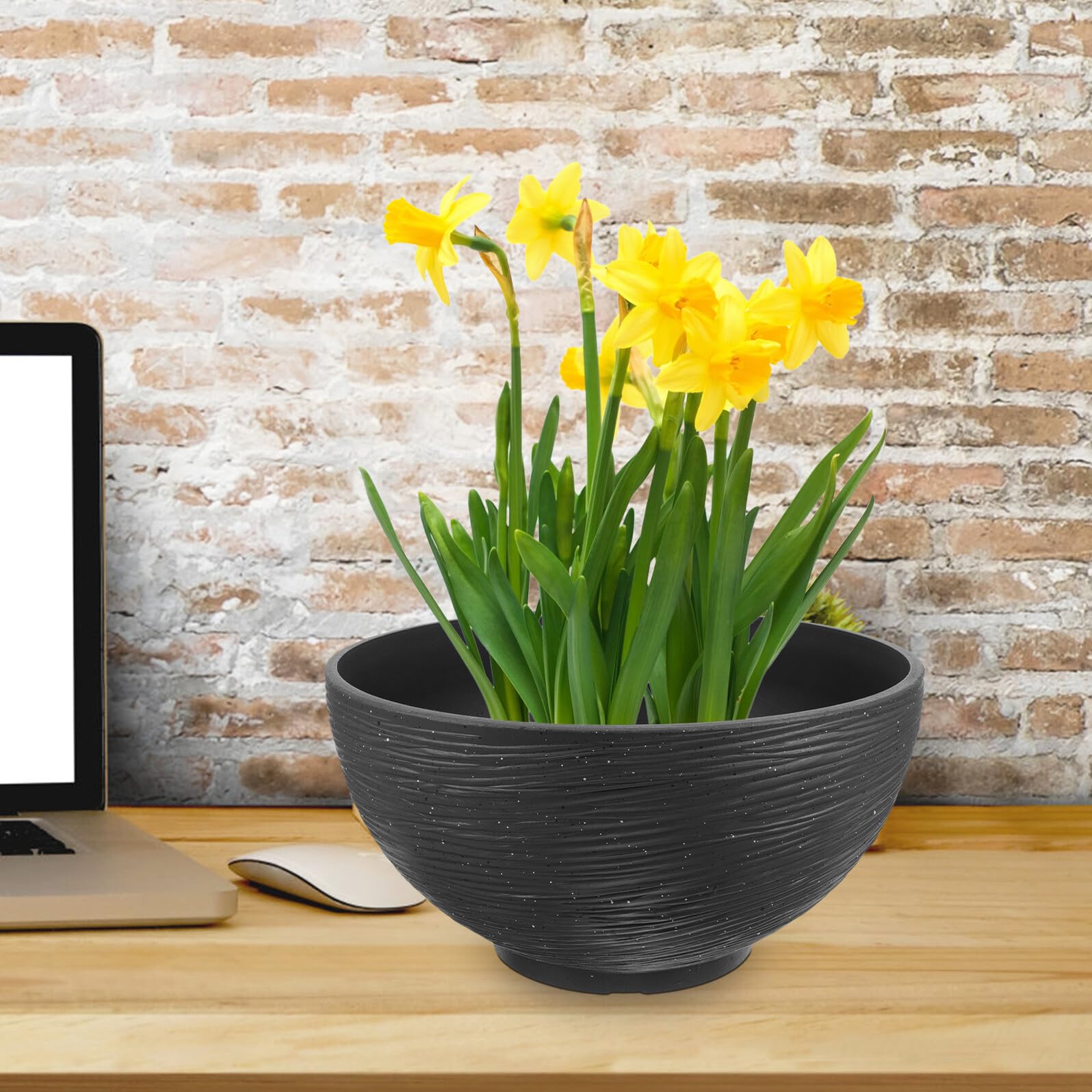 TOYANDONA Pot de Fleurs en Plastique Noir pour Plantes Hydroponiques et Lotus, Résistant la Déformation Chocs, Décoratif pour Jardin et Salon