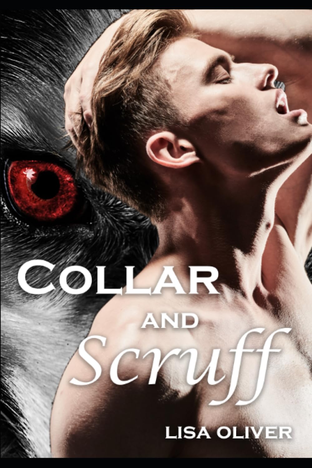 Collar and Scruff: The Prequel to the Hellhound Collar Series