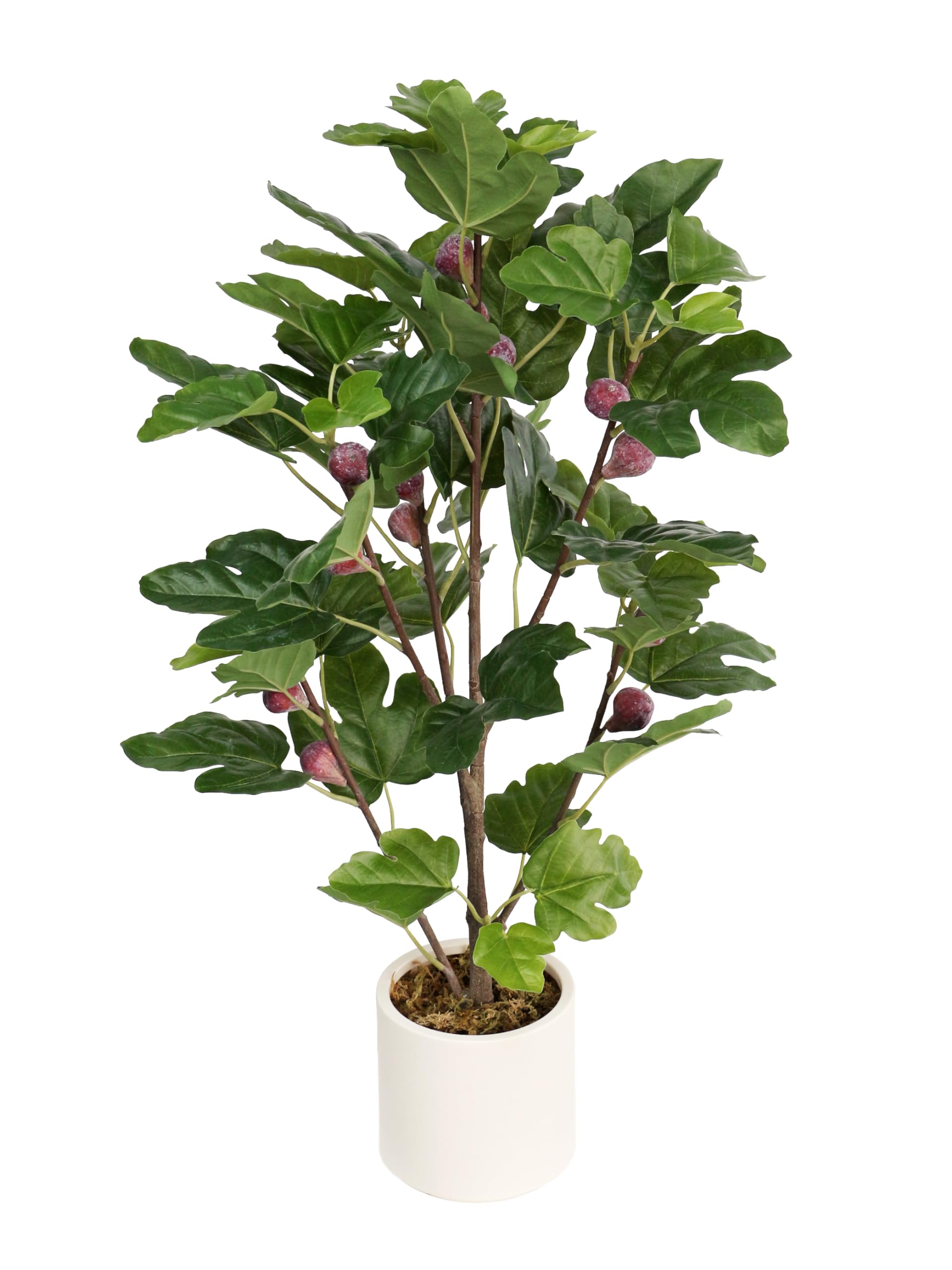 Amazon.de: Seidenblumen Ro Knstliche Feige/Feigenbaum LA knstlicher Baum  Kunstbaum Kunstpflanze knstliche Pflanzen Ficus carica Linn (100cm)