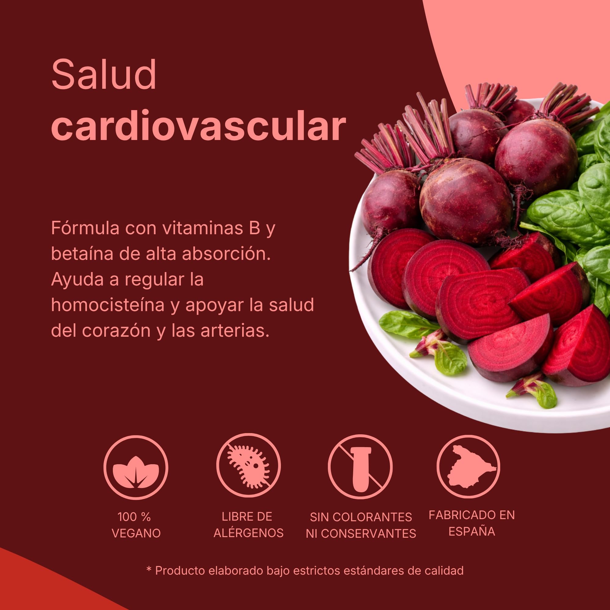 Homocisteína FEPA – 60 Cápsulas Pack de 2 – Colina, Betaína (TMG), Inositol y Vitaminas B6, B9 y B12 – Complemento Alimenticio – Apoyo Metabolismo de la Homocisteína y el Bienestar General – Fepadiet