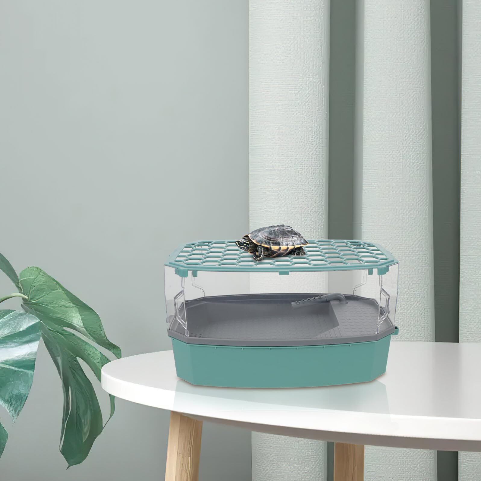 TOYANDONA Terrarium pour Tortues Mini avec Couvercle Anti-Évasion Aquarium Écologique Bleu Petit Format avec Plateforme de Bain de Soleil Habitat pour Tortues D’Eau Douce pour