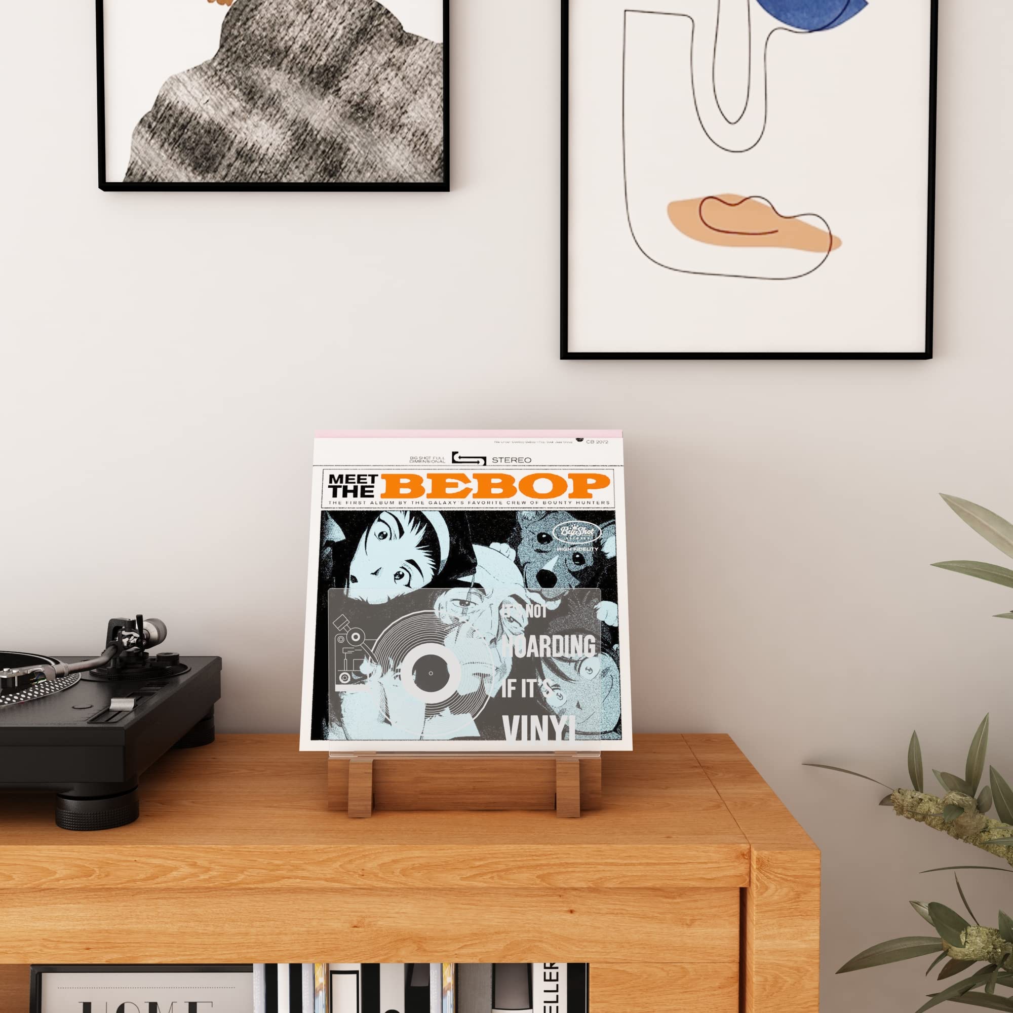 YuanDian Beleuchtete Vinyl-Schallplatten-Aufbewahrung, Schallplattenständer, hölzerne Acryl-Halter für Vinyl-Album-Display und Lagerung mit Warmweiße Farbe Lichter Schallplatte