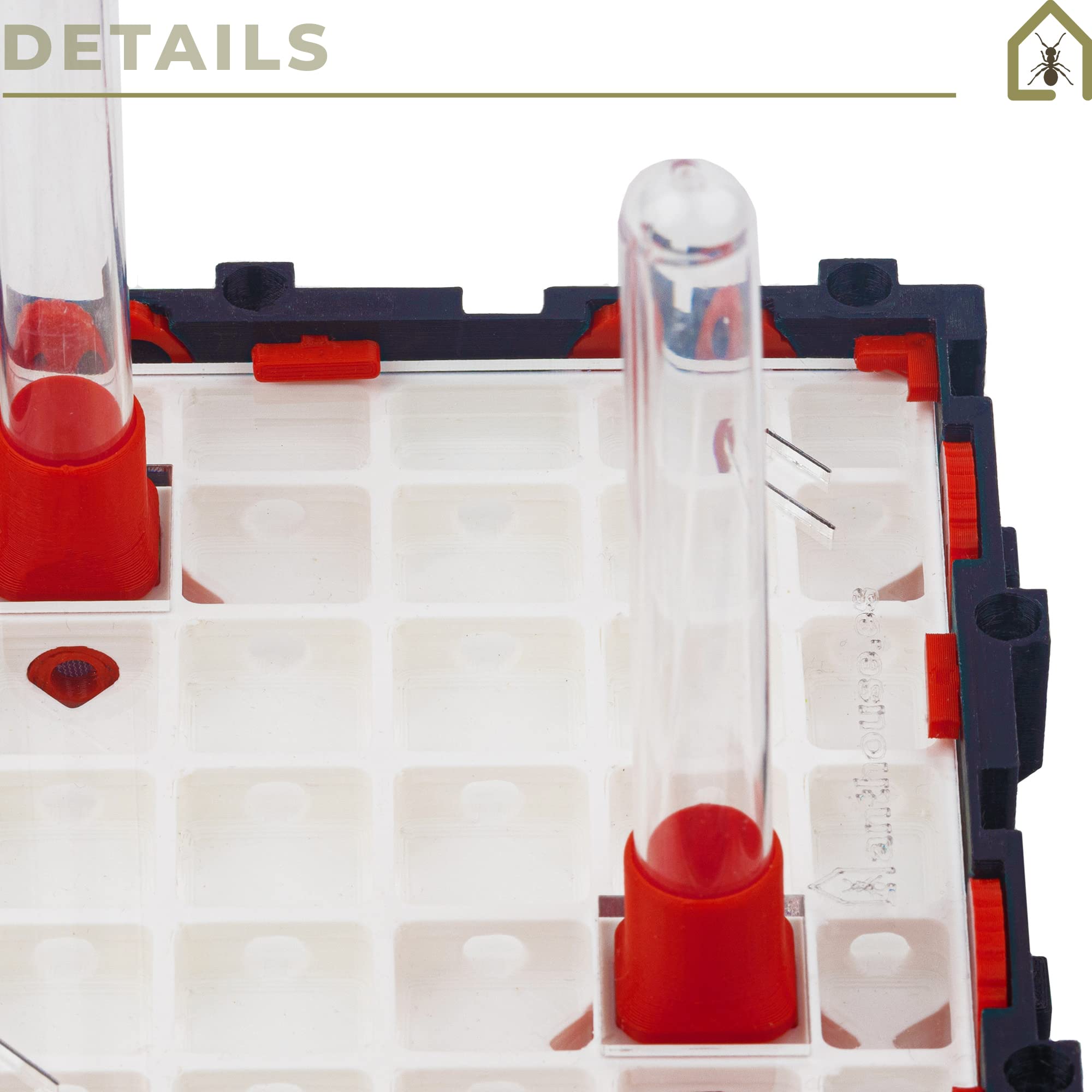 Anthouse.es - Hormigueros Modulares 3D - Modelo QBIK Quadra - Terrario Ampliable para Colonias de Hormigas - Hormiguero con Galerías Pequeñas - Hormiguero 3D con Sala de Forrajeo - 12,78x12,78x5 cm