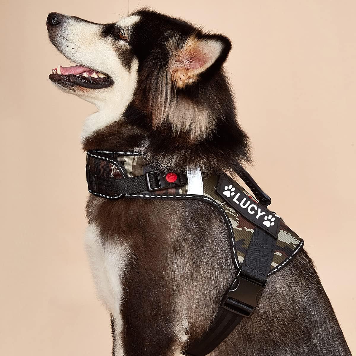 玄関先迄納品 ハーネス 首輪 抜けない 取れない しっかり 安全 7色 反射素材 夜間安全 Discoversvg Com