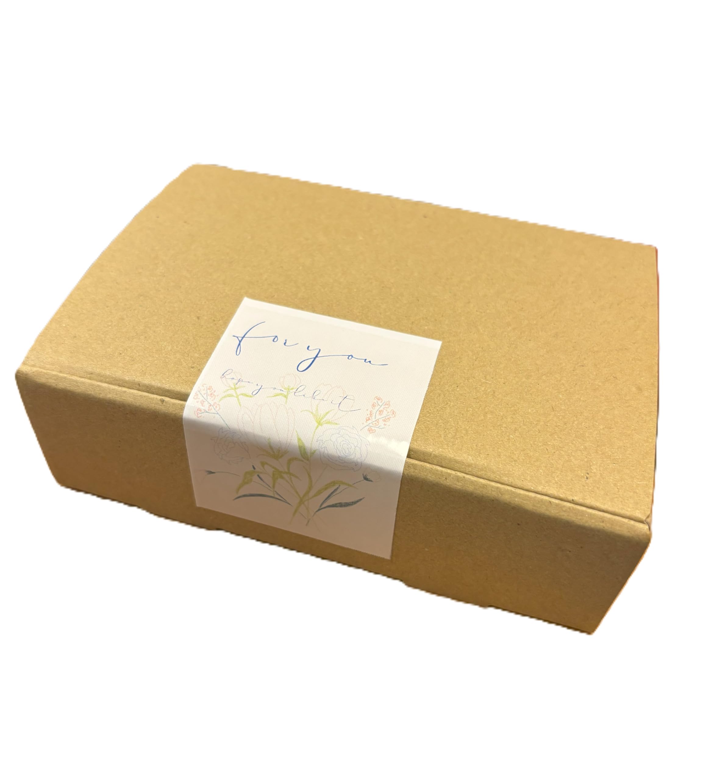 Amazon | LUSH バスボム 柴犬 ギフトボックス入り (青)オリジナル