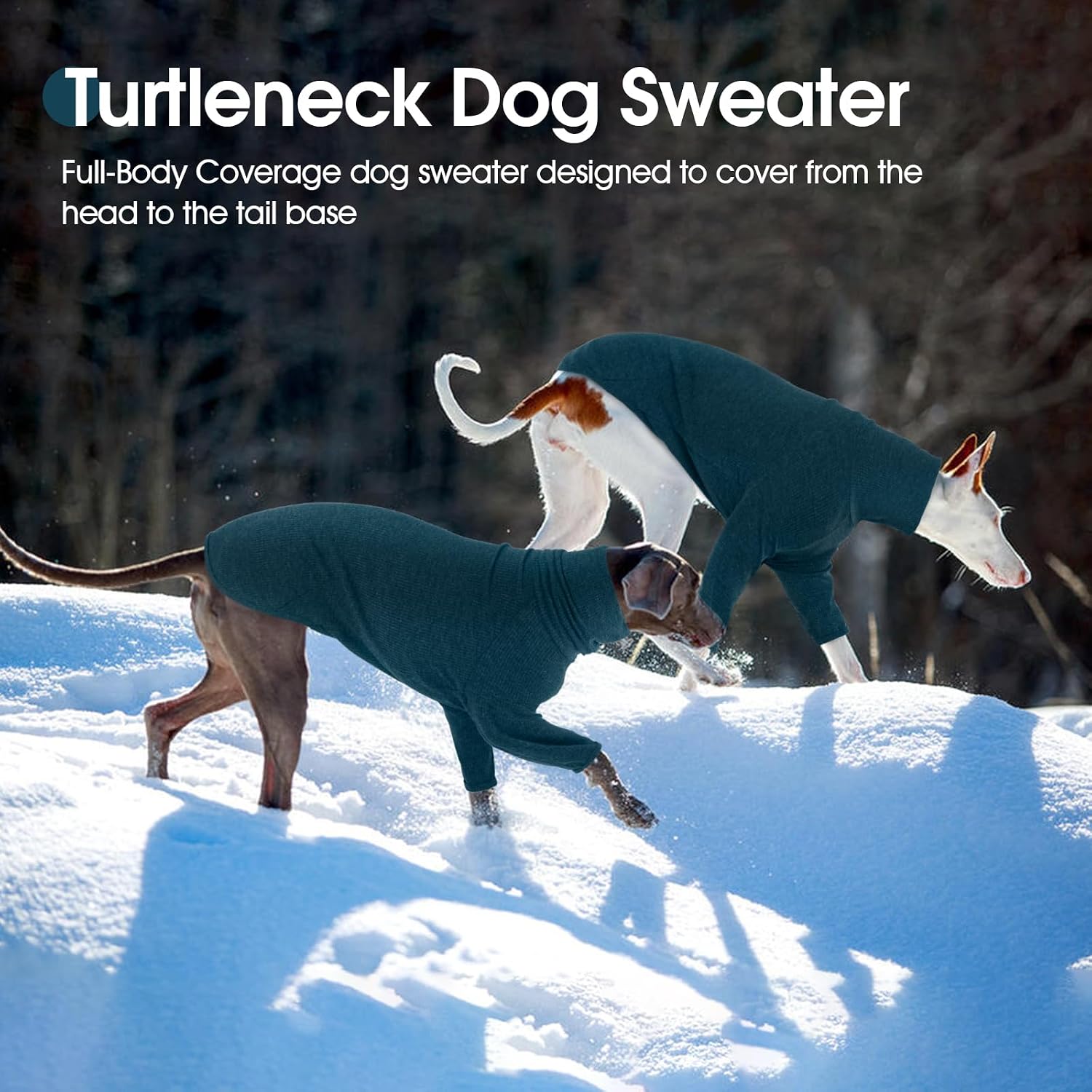 DENTRUN Italian Greyhound Sweater, Turtleneck Warm Knit for Whippets | Long sleeve, soft knit, warm pajama style, for IGs & Whippets, XS-XXL