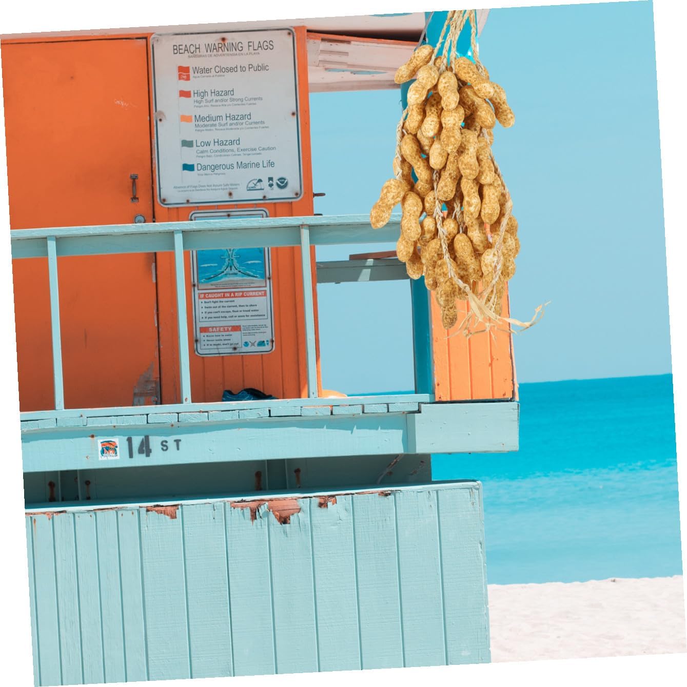 4sets Lifelike Simulated Peanut String Models Decorative Photo Props for Unique Photography Farm Supply Accessory for Teaching and Decoration 5pcs*4