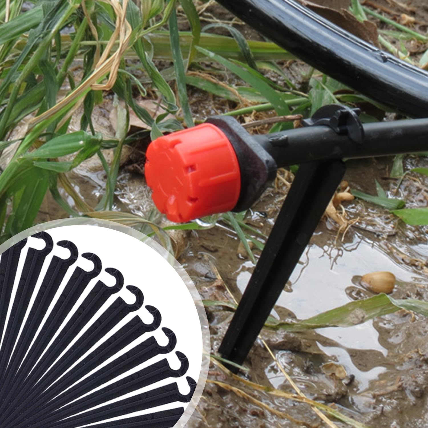 100 Supporti Per Tubi Irrigazione A Goccia - Nero, 11cm, Plastica Resistente - Foto 11