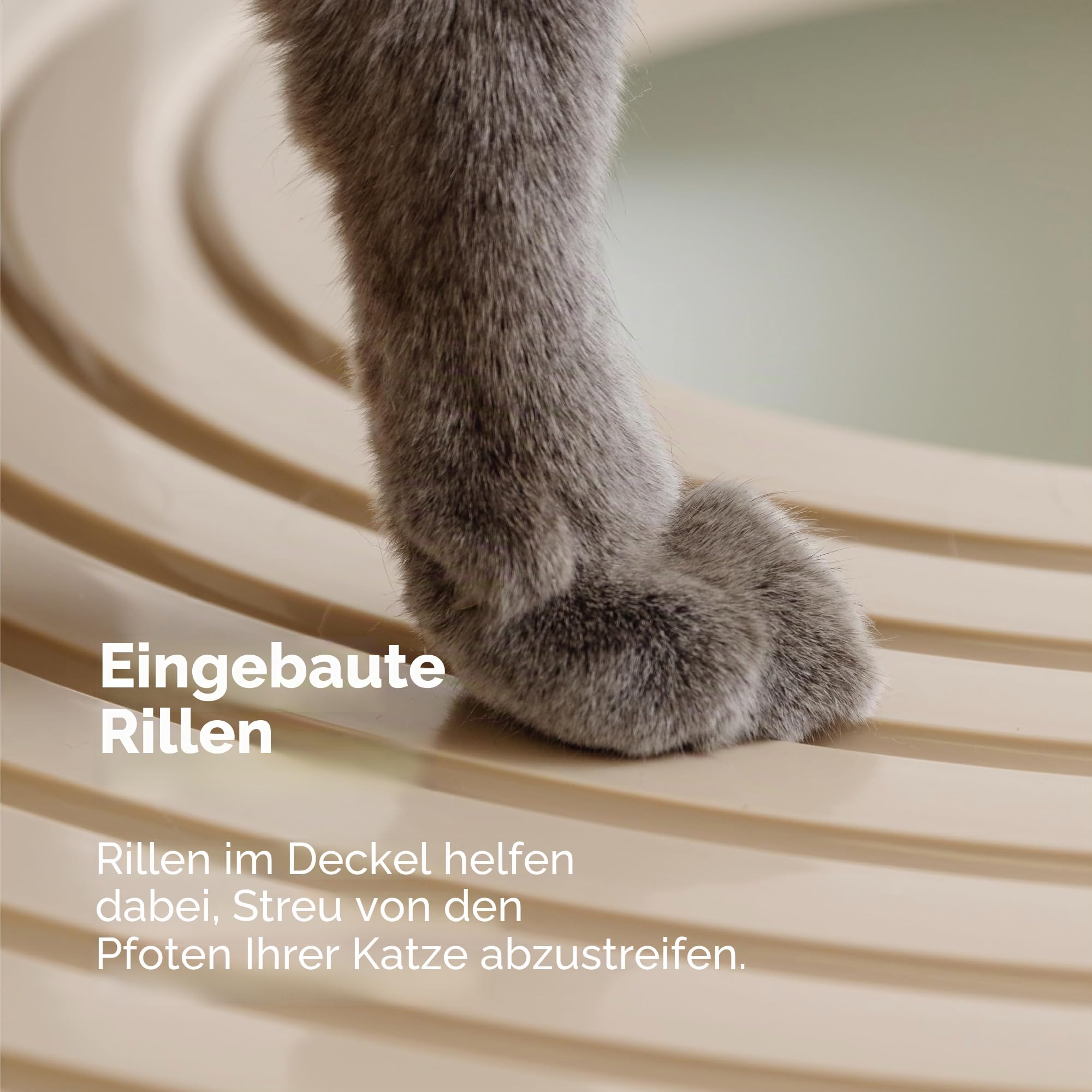 Iris Top Entry Cat Katzentoilette, orange