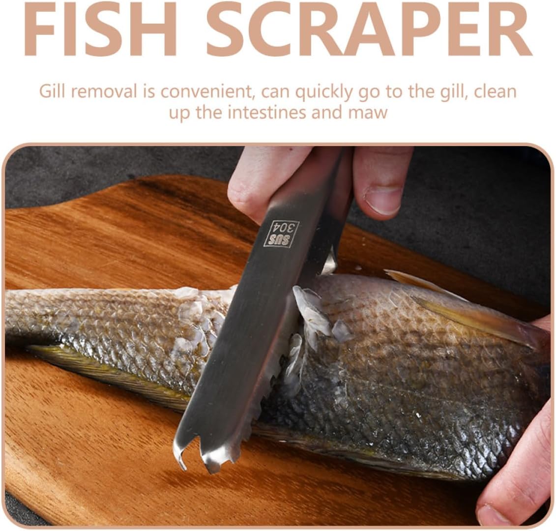 Stainless Steel Fish Scale Scraper Fish Cleaning Tool Kitchen Utensil for Home and Seafood Preparation