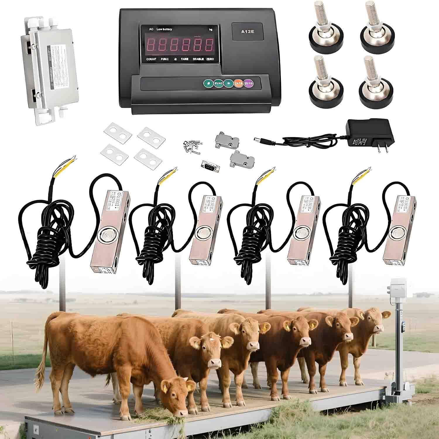 UORDBY High Precision Livestock Scale Kit, Digital Display Animal Platform Scale Floor Scale High Precision Indicator, 4 Load Cells for Cattle, Sheep, Goats and Pigs 3000kg